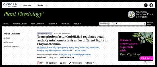 PP成人视频截图